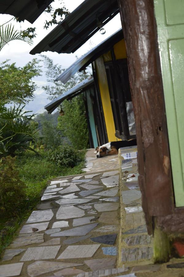 Posadamanduka Eco-Hostel Villavicencio Ngoại thất bức ảnh