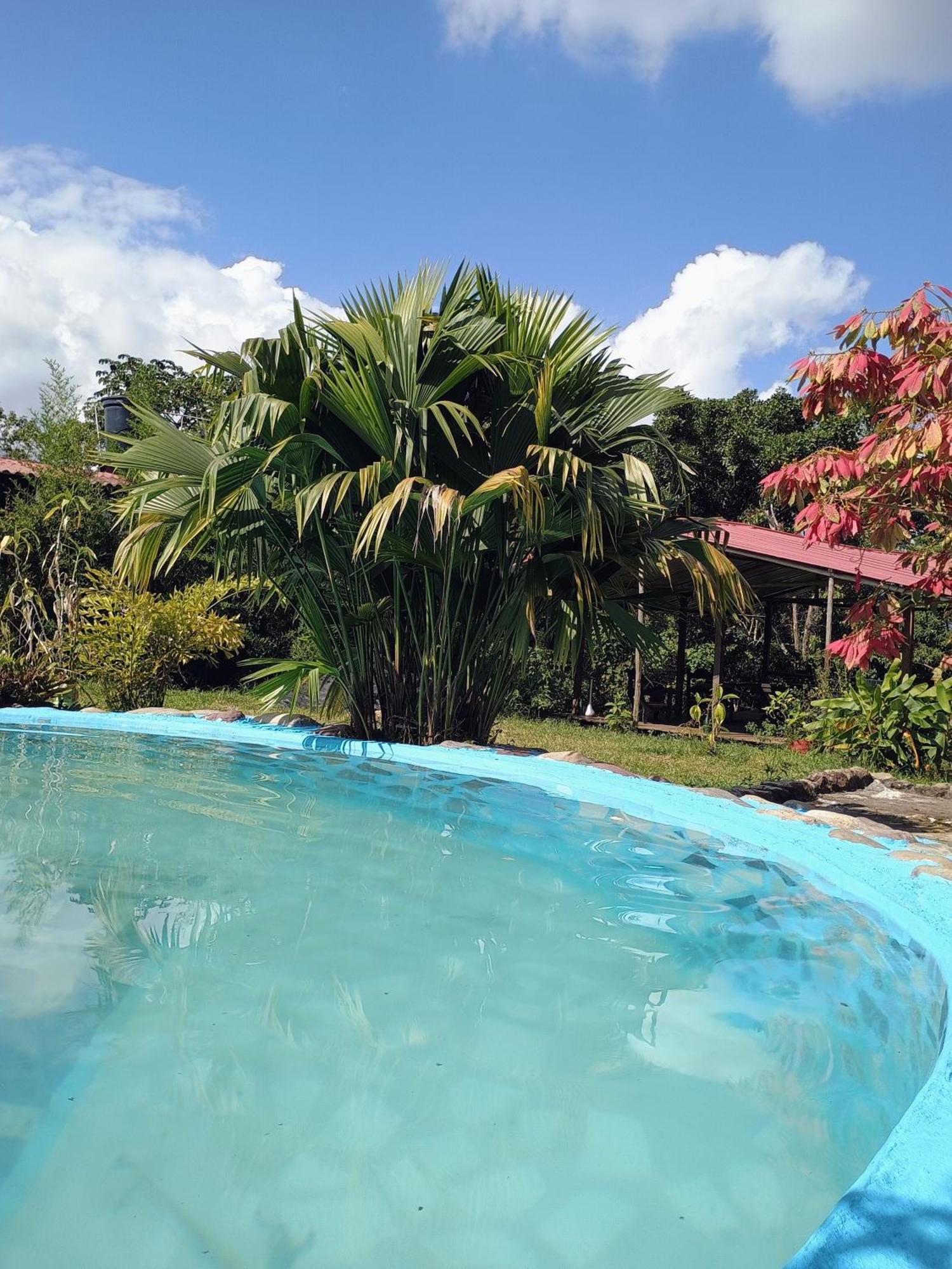 Posadamanduka Eco-Hostel Villavicencio Ngoại thất bức ảnh